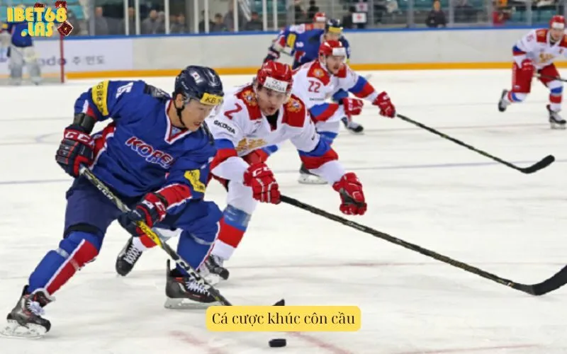 Cá cược khúc côn cầu