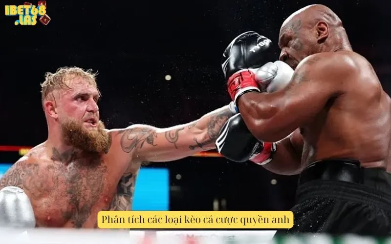 Phân tích các loại kèo cá cược quyền anh