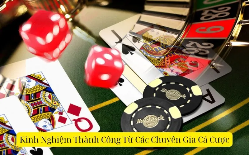 Kinh Nghiệm Thành Công Từ Các Chuyên Gia Cá Cược